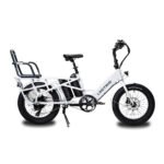 XPedition Dual-Battery Cargo eBike