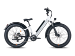 Rad Power – RadRover 6 Plus Electric Fat Tire Bicycle