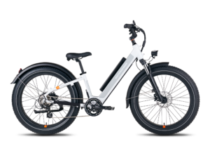 Rad Power – RadRover 6 Plus Electric Fat Tire Bicycle